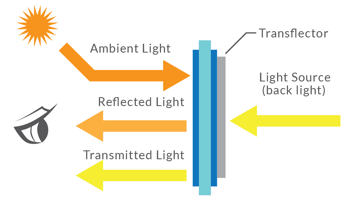 Transflective Polarizer
  